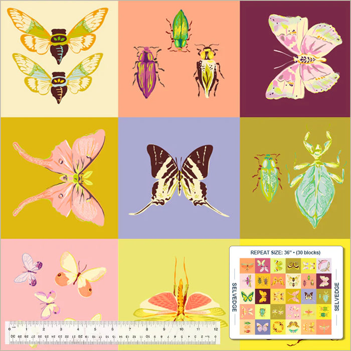 Insectarium - Square Dance Multi Panel
