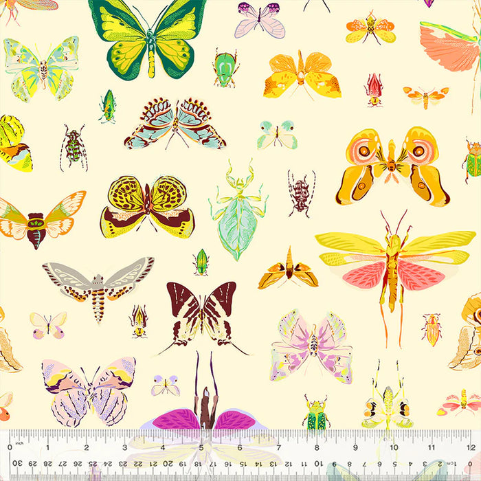 Insectarium - On Display Light
