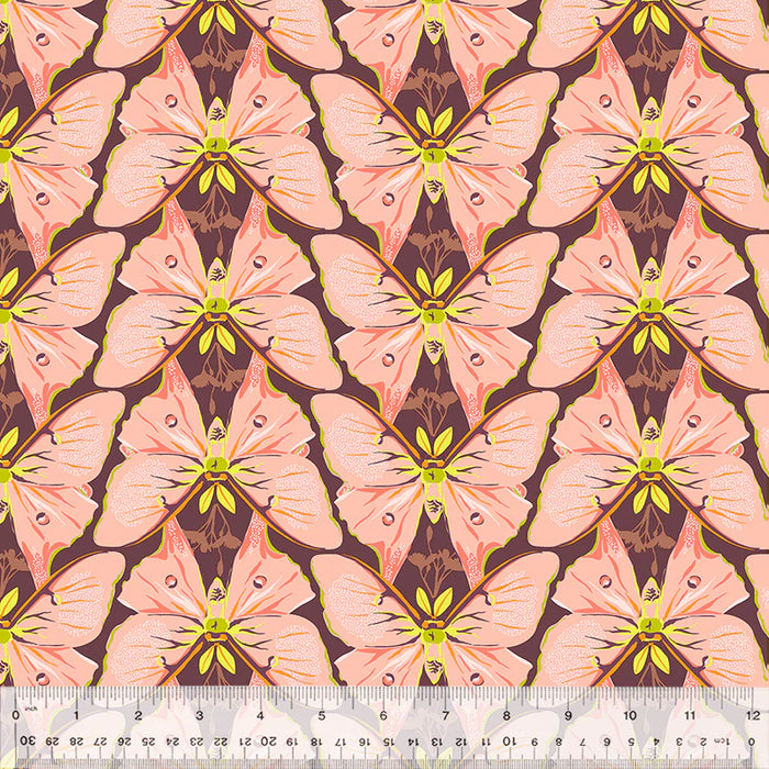 Insectarium - Luna Pink