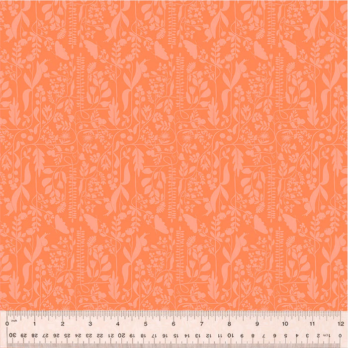 Insectarium - Meander Petal