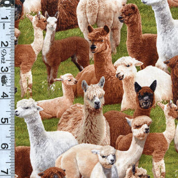 Farm Animals - Llama Green