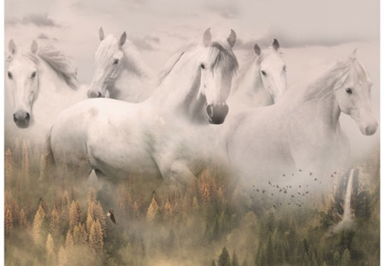 Call Of The Wild Digital Print Panel - Horses Dawn
