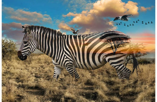 Call Of The Wild Digital Print Panel - Zebra