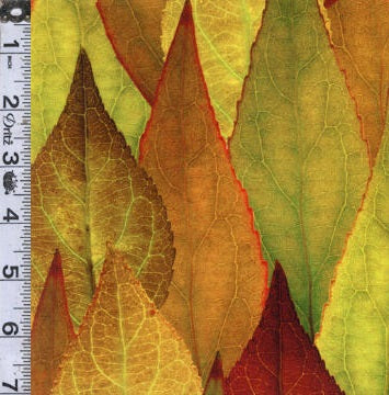 Natures Narratives Digital Print: Forest Floor - Leaf