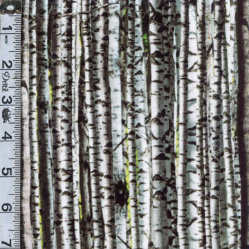 Natures Narratives Digital Print: Forest Floor - Trees Birch