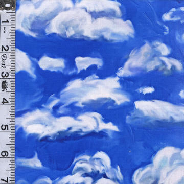 An Artists Wonderland Digital Print - Sky Clouds