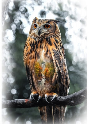 Call of the Wild Digital Print Panel - Owl Autumn