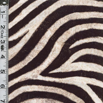 Animal Kingdom Digital Print - Zebra Print
