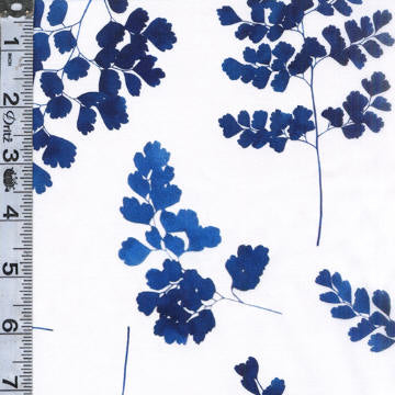 Indigo Ferns - Mainehair Fern White/Blue