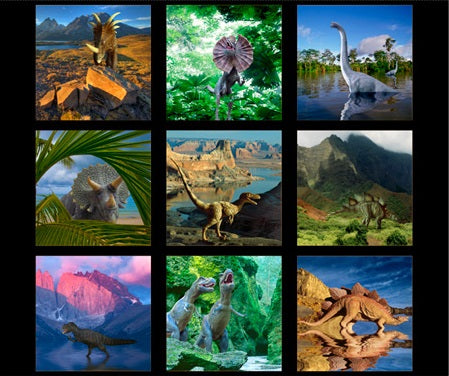 Artworks XVII Digital Print Panel - Dinosaurs Black