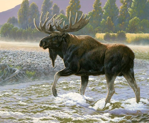 Nature's Finest Panel - Moose Multi